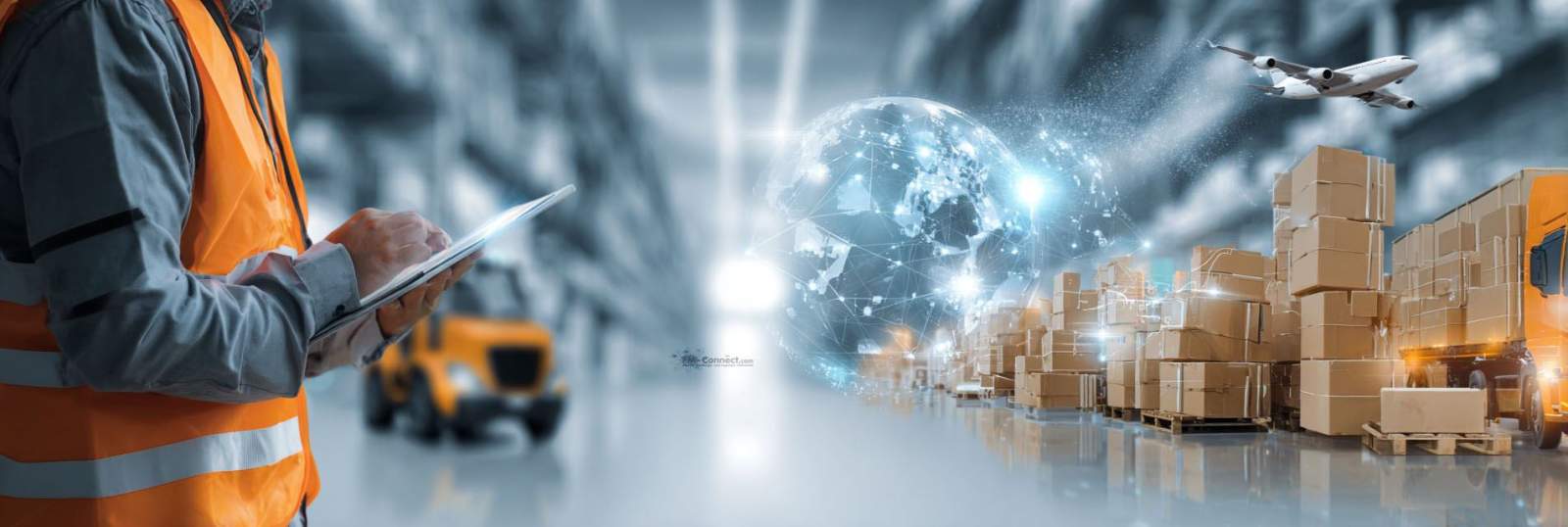 Autor für Zugelassene Wirtschaftsbeteiligte (AEO)